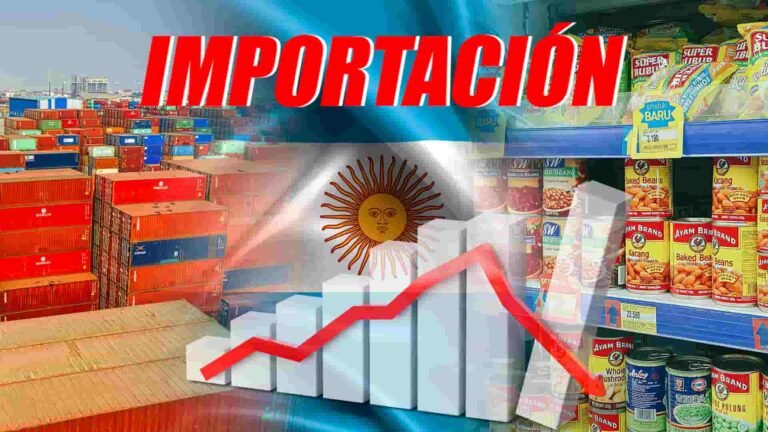 Del lado izquierdo contenedores, del lado derecho productos en góndolas en el centro la bandera Argentina con un grafico a la baja, titulo IMPORTACIÓN